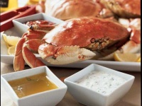 image of crab
