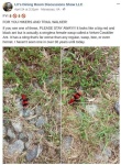 image of animal