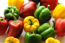 image of capsicum #25