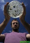 image of petri_dish