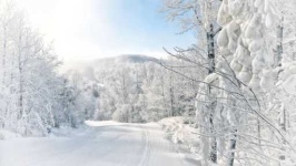 image of snowy