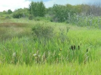 image of prairie