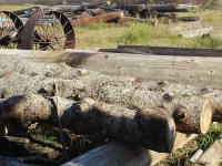 image of lumbermill