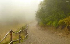 image of foggy