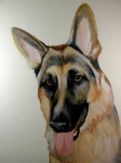 image of german_shepherd