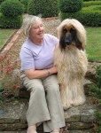 image of afghan_hound #5