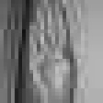 image of sign_language