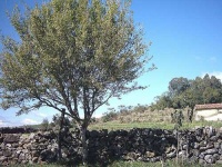 image of stone_wall