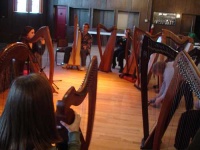 image of harp