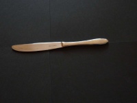 image of dinner_knife #21