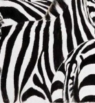 image of texture