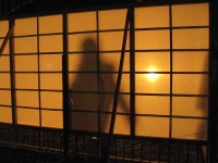 image of shoji