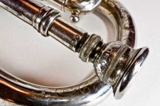 image of cornet