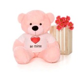image of teddy_bear