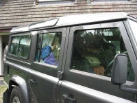 image of jeep_car