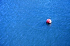 image of buoy #43