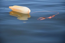 image of buoy #54