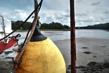 image of buoy #49