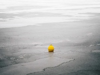 image of buoy #20