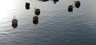 image of buoy #63