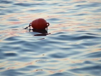 image of buoy #53