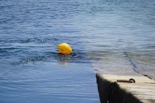 image of buoy #3