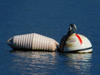 image of buoy #37