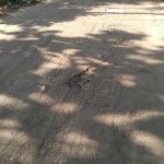 image of pothole #1