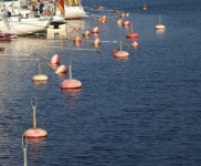 image of buoy #36