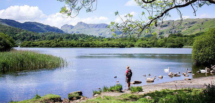 image of lake #2