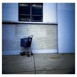image of shopping_cart #0
