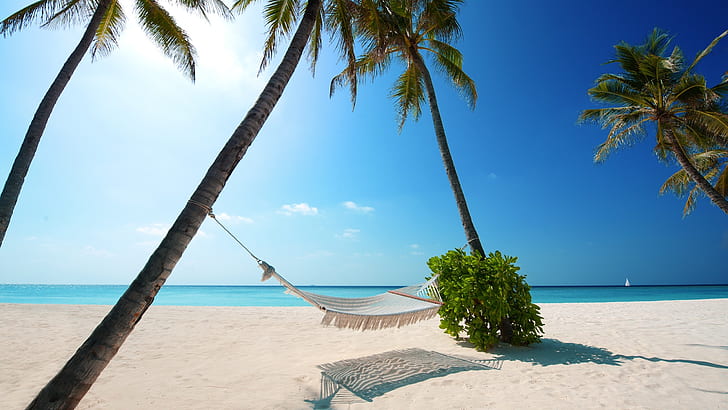 image of beach #1