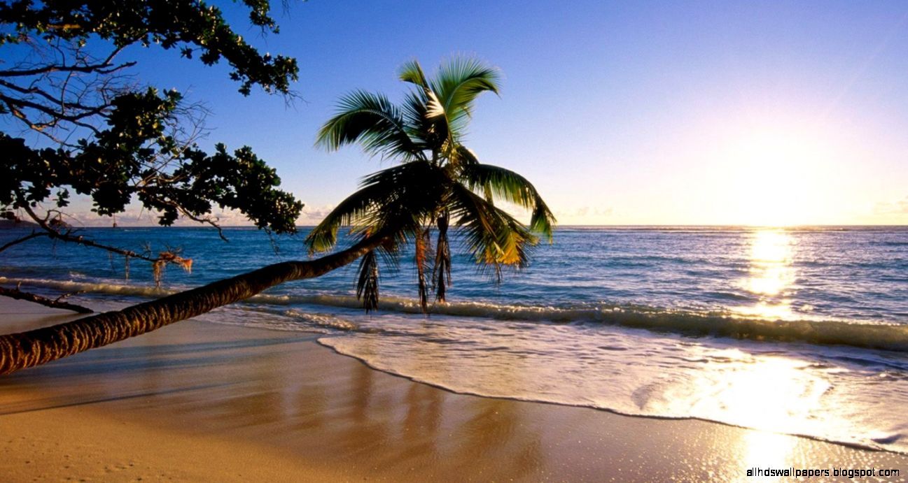 image of beach #3