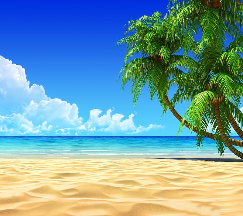 image of beach #27