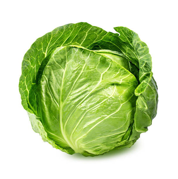 image of cabbage #7