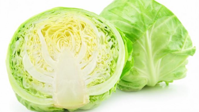 image of cabbage #23