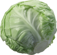 image of cabbage #24