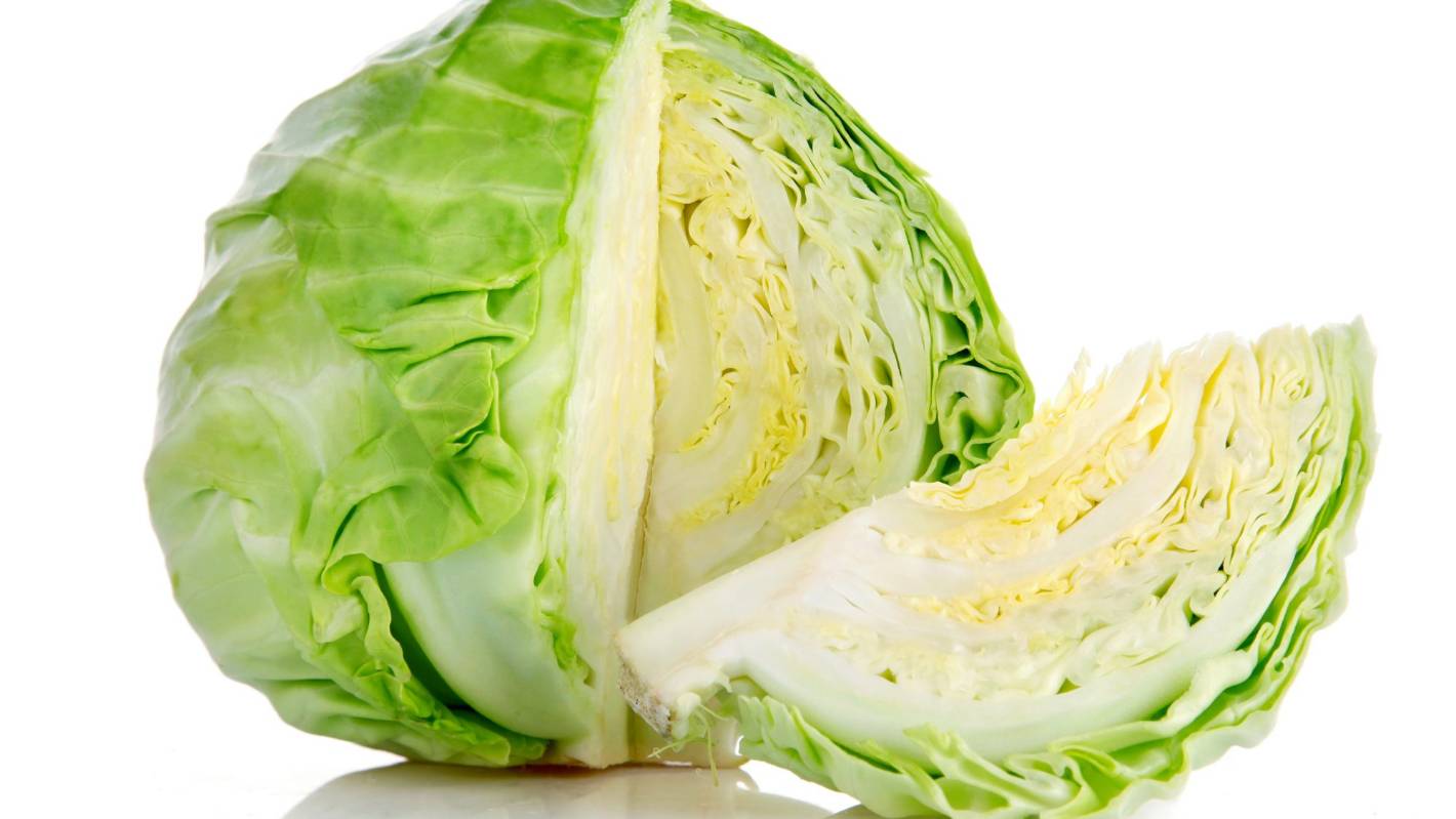 image of cabbage #25