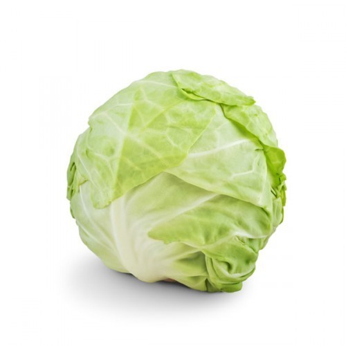 image of cabbage #26