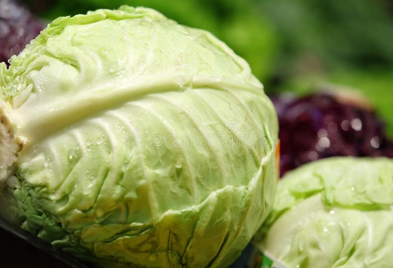 image of cabbage #28