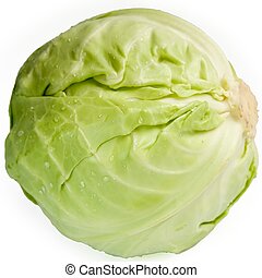 image of cabbage #29