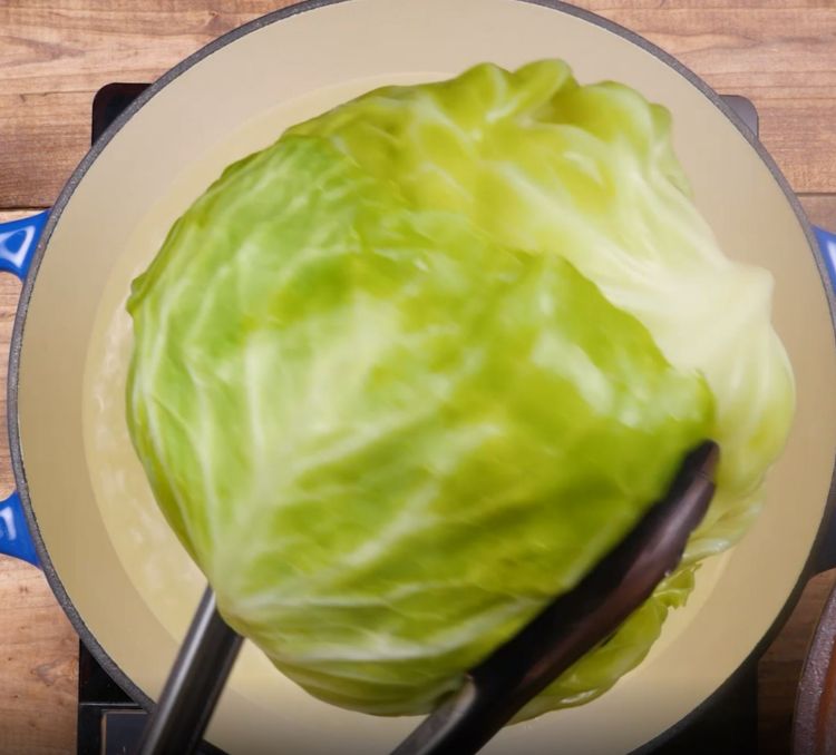 image of cabbage #2