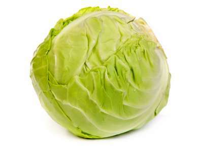 image of cabbage #3