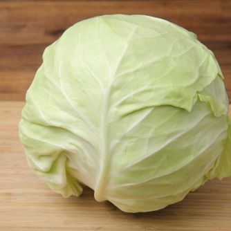 image of cabbage #4