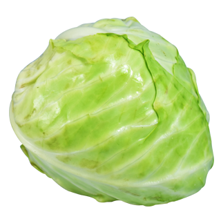 image of cabbage #5