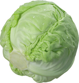 image of cabbage #6