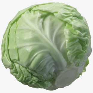 image of cabbage #7