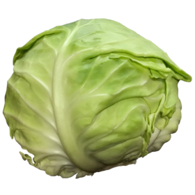 image of cabbage #8