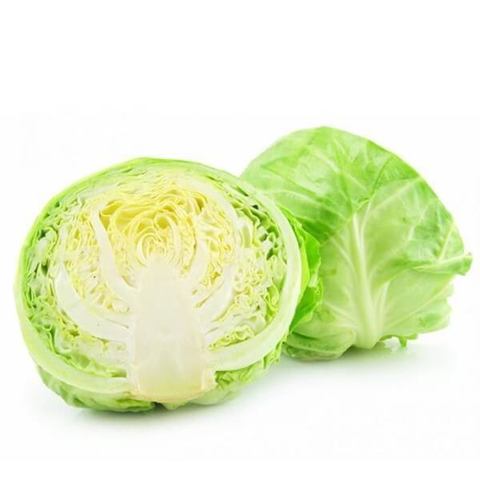 image of cabbage #10