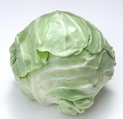 image of cabbage #11